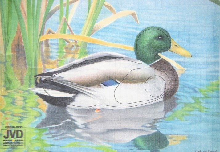 2D Duck sustiprintas skydas