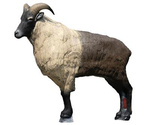 SRT 3D TARGET HIMALAYAN TAHR - GROUP 1 - L133cm H113cm