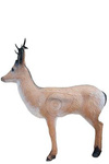 WILD LIFE 3D TARGET ROEDEER ALERTED / - DIM:30x122x104CM GROUP 3