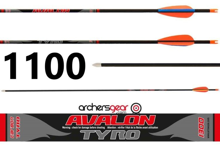 Avalon Tyro Pfeil