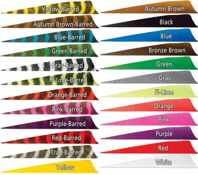 Lotka Gateway Shield 3"