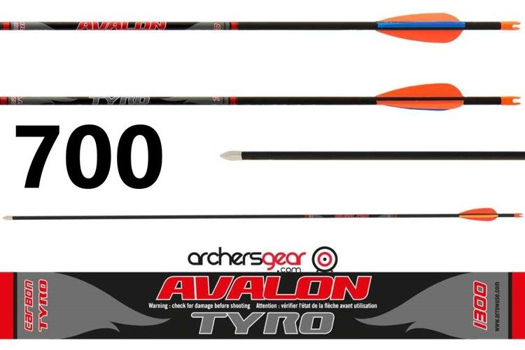 Avalon Tyro Arrow 