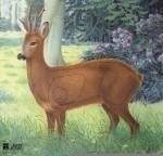 2D Kozioł sustiprintas skydas