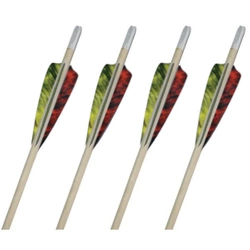 Tigrinės eglės strėlė "Sekula Šaudymas iš lanko" - Rinkinyje 5 vnt