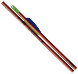 Easton Scout 2 Radius 30#